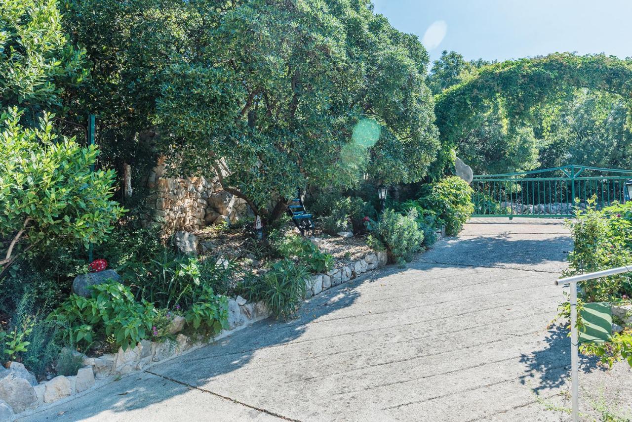 Apartments Borik 茨里克韦尼察 外观 照片